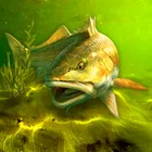 Скачать взлом My Fishing World
