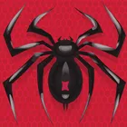 Скачать взлом Spider Solitaire